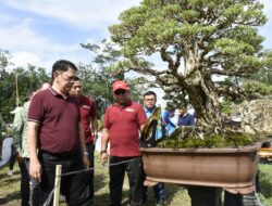 Gelar Pameran dan Kontes Bonsai Tingkat Nasional, M. Firsada Beri Apresiasi PPBI Tubaba
