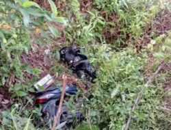 Heboh, Warga Mesuji Timur Temukan Jasad Perempuan di Semak Belukar