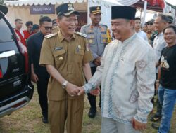 Ketua DPD NasDem Tuba, Dedi Afrizal, Apresiasi Maskot Pilkada Tuba Ikan Jelabat