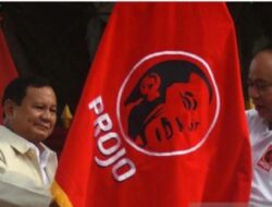 DPC Projo Tubaba Siap Dukung Penuh Pasangan Calon Bupati Dan Wakil Bupati Nona.