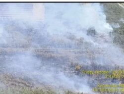 Karhutla Meluas Ke 3 Daerah Di Bumi Sriwijaya