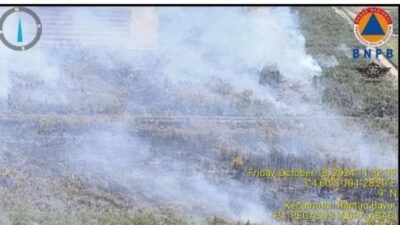 Karhutla Meluas Ke 3 Daerah Di Bumi Sriwijaya