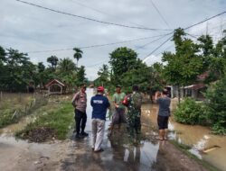 Hujan Deras di Pringsewu Sebabkan Banjir di Beberapa Wilayah, Warga Diminta Waspada