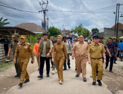 Wakil Gubernur Lampung Jihan Nurlela Tinjau  Lokasi Banjir