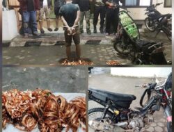 Tekab 308 Presisi Polres Tulang Bawang Tangkap Pelaku Spesialis Curat Kabel PLN