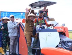 Wakil Bupati Tuba Hadiri Panen Raya Padi Serentak Di Rawajitu Selatan