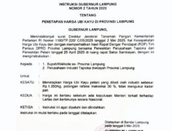 Instruksi Gubernur Lampung: Harga Ubi Kayu Ditetapkan Rp1.350/Kg Tanpa Ukur Kadar Pati, Atasi Polemik Harga