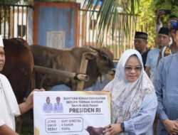 Bupati Mesuji Hj. Elfianah Sholat Idul Adha Bersama Masyarakat dan Salurkan Bantuan Sapi Kurban dari Presiden RI