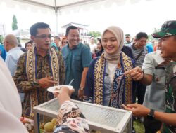 Desaku Maju Dorong Kemandirian Ekonomi, Ketahanan Pangan Desa, dan Ciptakan Ekosistem Ekonomi Desa