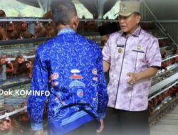 Bupati Tulang Bawang Distribusikan KKS dan Tinjau BUMKAM Peternakan Ayam Petelur di Menggala Timur