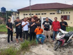 Polsek Gedung Aji Tancap Gas Pencuri Sawit Di Pt GMPK Di Bekuk 50 Tandan Di Amankan