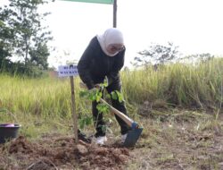 Bupati Way Kanan Pimpin Kegiatan Penanaman Pohon Serentak