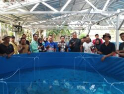 Kepala BBPBL Lampung Bersama Dinas Perikanan Tuba Tebar Benih Lele Di Kolam Bioflok “Duta Fish Nusantara”