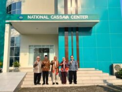 Pemprov Lampung Luncurkan Nasional Cassava Center Sebagai Pusat Pengembangan Singkong